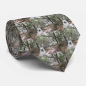 南美女 ネクタイ (ロール)