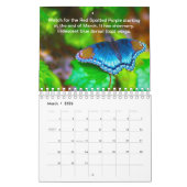 南蝶2023年カレンダー カレンダー (3月 2026)