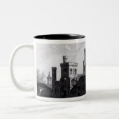 南西からのスミソニアン研究所 ツートーンマグカップ (左)