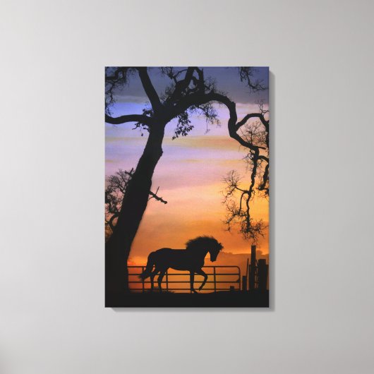 南西かわいらしの日の出の国馬 キャンバスプリント (正面)