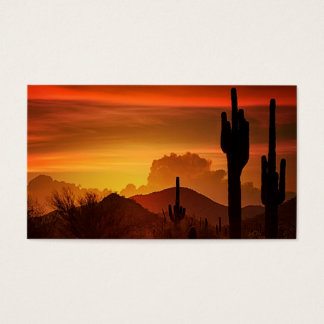 南西のエッセンス