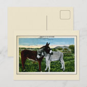 南西のロマンス、愛 ポストカード (正面/裏面)