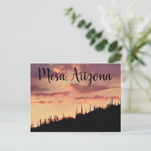 南西の日没 ポストカード (スタンド正面)