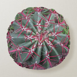 南西の砂漠の植物の写真レッドバレルサボテン ラウンドクッション