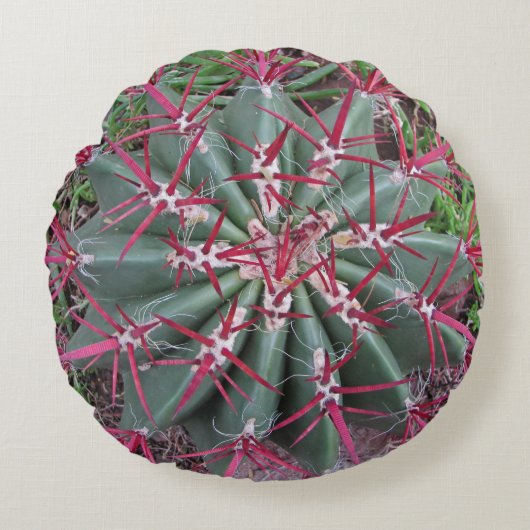 南西の砂漠の植物の写真レッドバレルサボテン ラウンドクッション (正面)