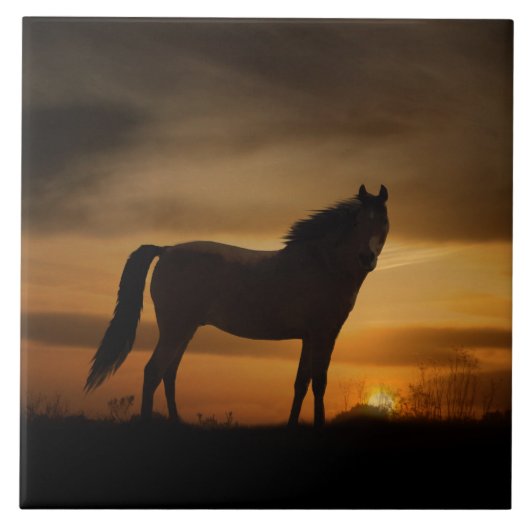 南西の馬とサンアートタイル タイル (正面)