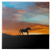 南西の馬とサンライズアートタイル タイル (正面)