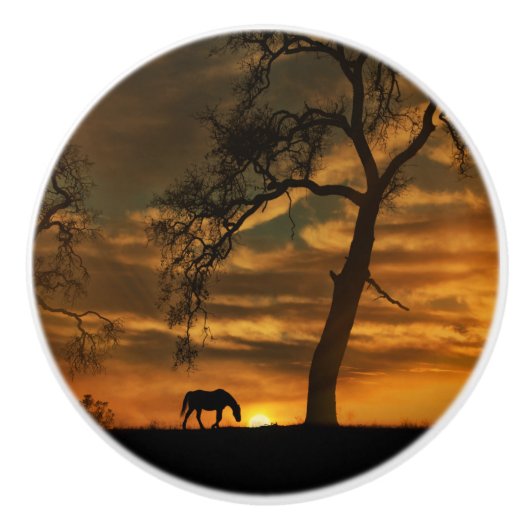 南西の馬のノブとプル セラミックノブ (正面)