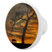 南西の馬のノブとプル セラミックノブ (右)