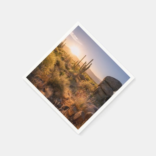 南西アリゾナ産サボテンの夕日 スタンダードカクテルナプキン (角)