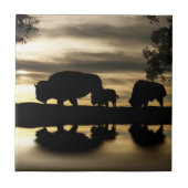 南西アートタイル タイル (正面)