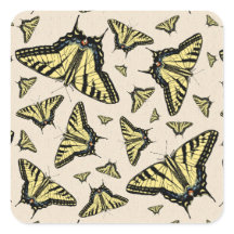 南西イエローアゲハチョウ蝶オールオーバー