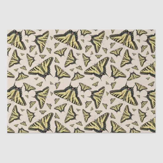 南西イエローアゲハチョウ蝶オールオーバー 薄葉紙 (正面)