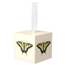 南西イエローアゲハチョウ蝶