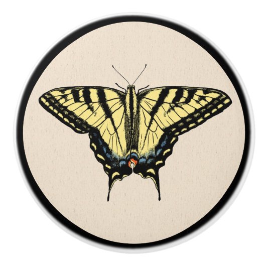 南西イエローアゲハチョウ蝶 セラミックノブ (正面)