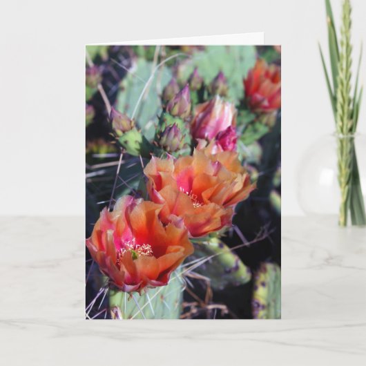 南西クリスマスカード シーズンカード (正面)