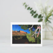 南西クリスマス シーズンポストカード (スタンド正面)