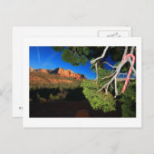 南西クリスマス シーズンポストカード (正面/裏面)