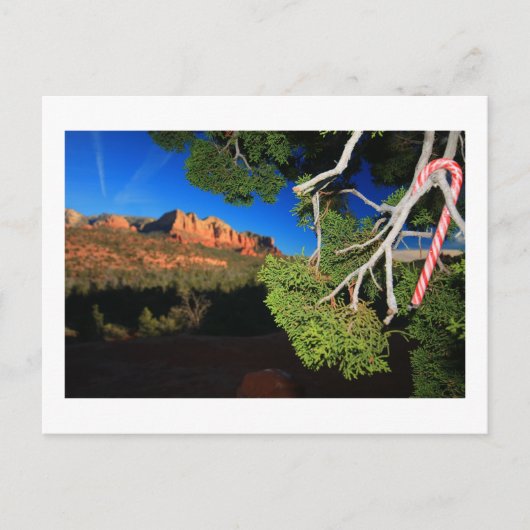 南西クリスマス シーズンポストカード (正面)