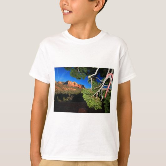 南西クリスマス Tシャツ (正面)