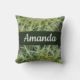 南西グリーンデザートプラントフォトバレルサボテン クッション