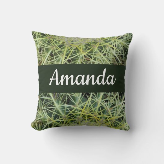 南西グリーンデザートプラントフォトバレルサボテン クッション (正面)