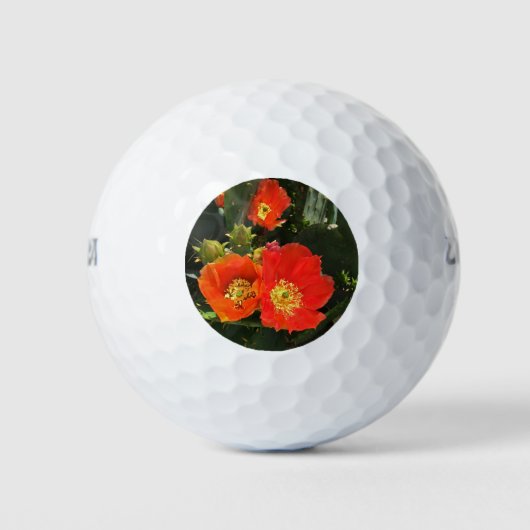 南西サボテン花写真明るい赤フローラ ゴルフボール (正面)