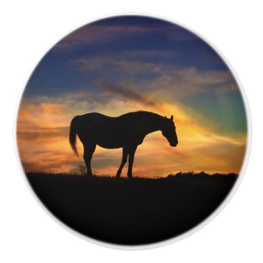 南西サンセットホースノブとプル セラミックノブ (正面)