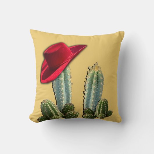 南西シーン クッション (正面)