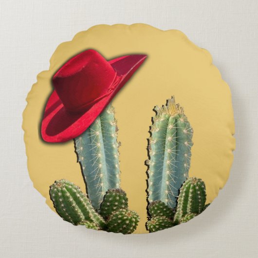 南西シーン ラウンドクッション (正面)