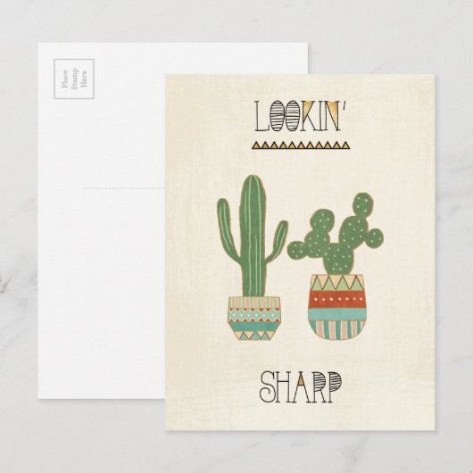 南西ジオIX | Lookin' Sharp ポストカード (正面/裏面)