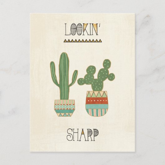 南西ジオIX | Lookin' Sharp ポストカード (正面)