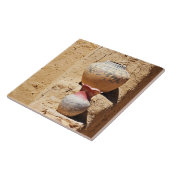 南西ナバホ陶器 タイル (側面)