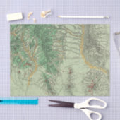 南西ニューメキシコの土地分類の地図 薄葉紙 (クラフト)