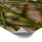 南西フォレガー ポスター (角)