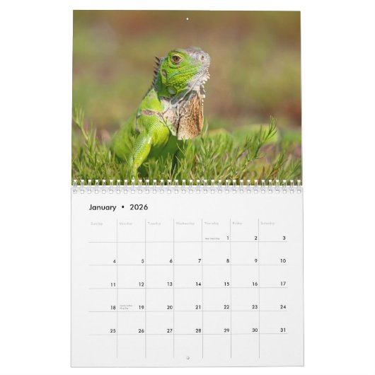 南西フロリダ野生生物2026 カレンダー (1月 2026)