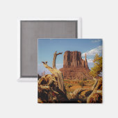 南西モニュメントバレー砂漠のシーン マグネット (正面/裏面)