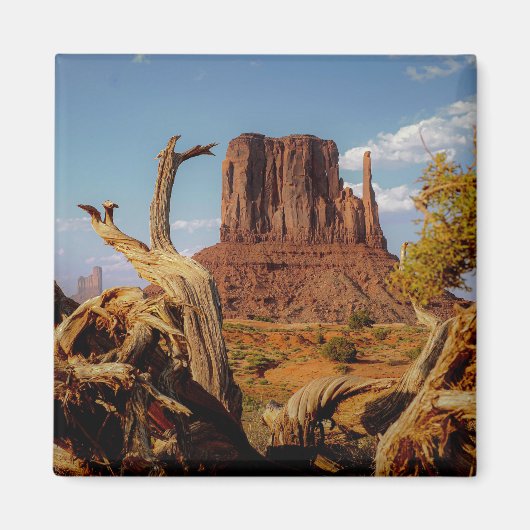 南西モニュメントバレー砂漠のシーン マグネット (正面)