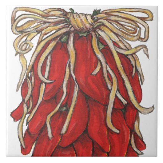 南西レッドチリチリChili Ristraトップタイルハウス#s タイル (正面)