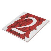 南西レッドチリペッパーHouse Number 2 Two タイル (側面)