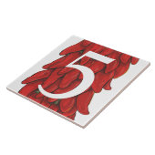 南西レッドチリペッパーHouse Number 5 Five タイル (側面)