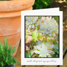 南西幽霊植物最深層同情カード