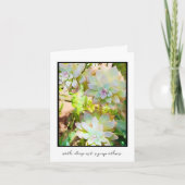 南西幽霊植物最深層同情カード カード (正面)