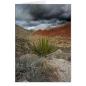 南西空白のすべての行事グリーティングカード (正面)