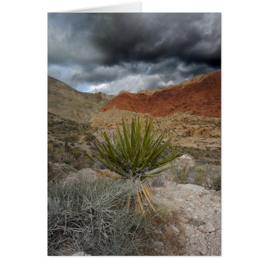 南西空白のすべての行事グリーティングカード (正面)