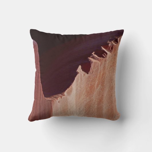 南西賛美抽象芸術ザハウススクエア クッション (裏面)