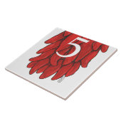 南西赤チリチリチリリストラスモールボトム# タイル (側面)