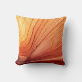 南西部の装飾広場装飾用クッション クッション (正面)