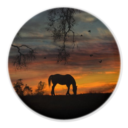 南西部の馬のノブと引っ張り装飾 セラミックノブ (正面)