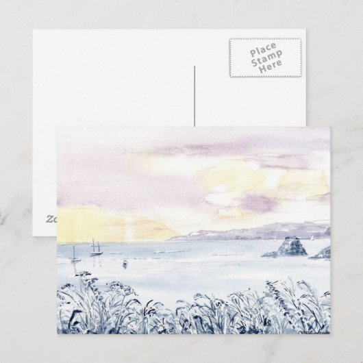 『南西』はがき ポストカード (正面/裏面)